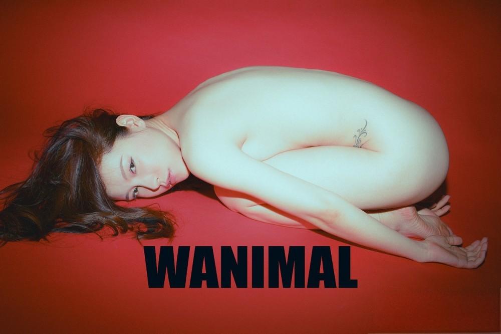 WANIMAL王动 摄影作品全集超高清图集下载 WANIMAL王动 摄影作品全集超高清图集下载